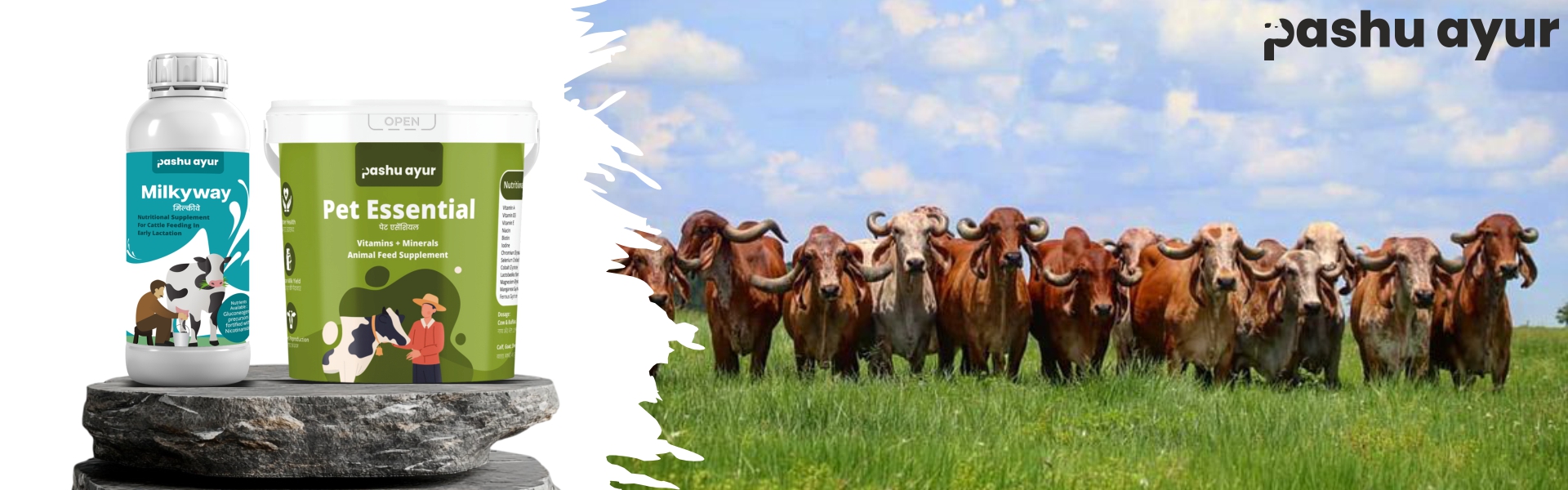 Animal Feed Supplement