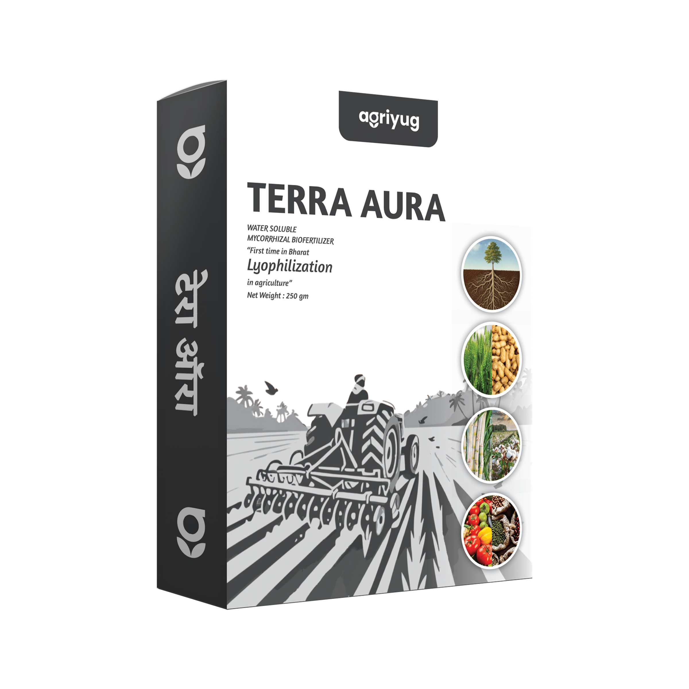 Terra Aura - WS